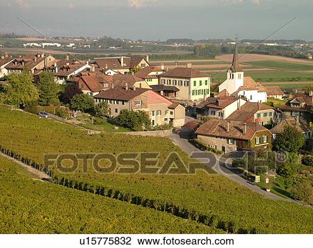 Stock Image -  Switzerland, Europe, Vaud, Fechy, La Cote, vineyards, village. Fotosearch