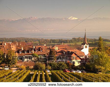 Switzerland, Europe, Vaud, Fechy, La Cote, vineyards, village View Large Photo Image Stock Image - Switzerland, Europe, Vaud, Fechy, La Cote, vineyards, village. Fotosearch