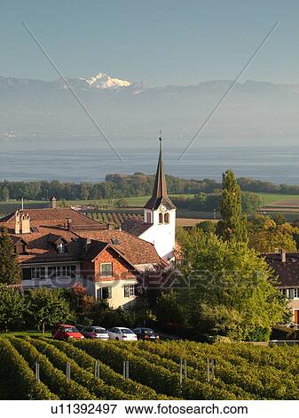 Stock Photo -  Switzerland, Europe, Vaud, Fechy, La Cote, vineyards, village. Fotosearch