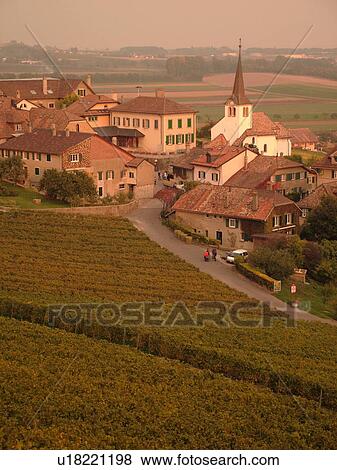 Stock Photo -  Switzerland, Europe, Vaud, Fechy, La Cote, vineyards, village. Fotosearch