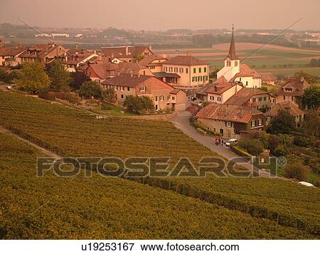 Stock Photo -  Switzerland, Europe, Vaud, Fechy, La Cote, vineyards, village. Fotosearch