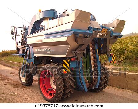 Switzerland, Europe, Vaud, Fechy, La Cote, wine harvest, vineyards, grape collection machine View Large Photo Image Stock Photo - Switzerland, Europe, Vaud, Fechy, La Cote, wine harvest, vineyards, grape collection machine. Fotosearch