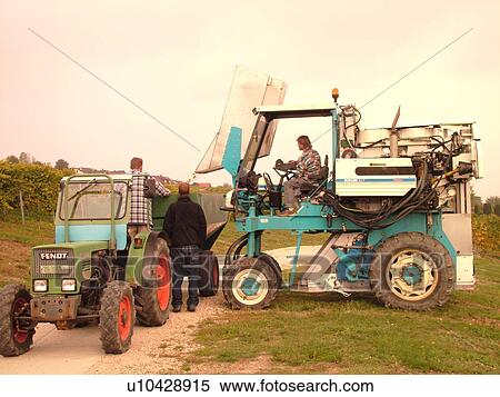Switzerland, Europe, Vaud, Fechy, La Cote, wine harvest, vineyards, grape collection machine, tractor View Large Photo Image Stock Photography - Switzerland, Europe, Vaud, Fechy, La Cote, wine harvest, vineyards, grape collection machine, tractor. Fotosearch