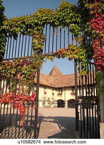 Switzerland, Europe, Vaud, La Cote, Rolle, Chateau de Rolle, wrought iron entrance gate covered with red and green ivy in the fall View Large Photo Image Picture - Switzerland, Europe, Vaud, La Cote, Rolle, Chateau de Rolle, wrought iron entrance gate covered with red and green ivy in the fall. Fotosearch