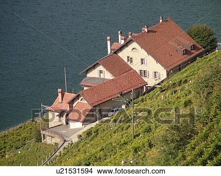 Picture -  Switzerland, Europe, Vaud, Lavaux, Dezalay, Lake Geneva, Lac Leman. Fotosearch