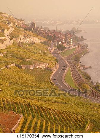 Switzerland, Europe, Vaud, Lavaux, St. Saphorin, Lake Geneva, Lac Leman, vineyards, steep hillsides, village View Large Photo Image Picture - Switzerland, Europe, Vaud, Lavaux, St. Saphorin, Lake Geneva, Lac Leman, vineyards, steep hillsides, village. Fotosearch