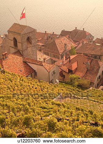 Switzerland, Europe, Vaud, Lavaux, St. Saphorin, Lake Geneva, Lac Leman, vineyards, village, rooftops View Large Photo Image Stock Image - Switzerland, Europe, Vaud, Lavaux, St. Saphorin, Lake Geneva, Lac Leman, vineyards, village, rooftops. Fotosearch