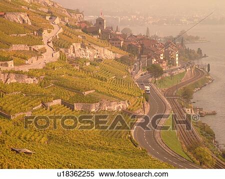 Stock Photography -  Switzerland, Europe, Vaud, Lavaux, St. Saphorin, Lake Geneva, Lac Leman, vineyards, steep hillsides, village. Fotosearch