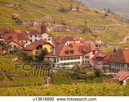 Switzerland, Europe, Vaud, Lavaux, Rivaz, Lake Geneva, Lac Leman View Large Photo Image Stock Image - Switzerland, Europe, Vaud, Lavaux, Rivaz, Lake Geneva, Lac Leman. Fotosearch