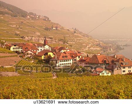 Switzerland, Europe, Vaud, Lavaux, Rivaz, Lake Geneva, Lac Leman, vineyards, village View Large Photo Image Stock Image - Switzerland, Europe, Vaud, Lavaux, Rivaz, Lake Geneva, Lac Leman, vineyards, village. Fotosearch