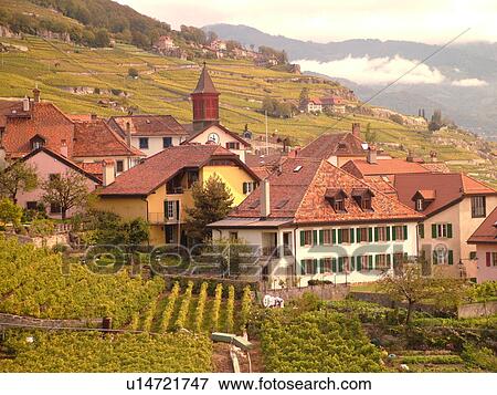 Switzerland, Europe, Vaud, Lavaux, Rivaz, Lake Geneva, Lac Leman View Large Photo Image Stock Photo - Switzerland, Europe, Vaud, Lavaux, Rivaz, Lake Geneva, Lac Leman. Fotosearch