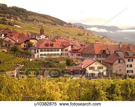 Switzerland, Europe, Vaud, Lavaux, Rivaz, Lake Geneva, Lac Leman View Large Photo Image Stock Photography - Switzerland, Europe, Vaud, Lavaux, Rivaz, Lake Geneva, Lac Leman. Fotosearch