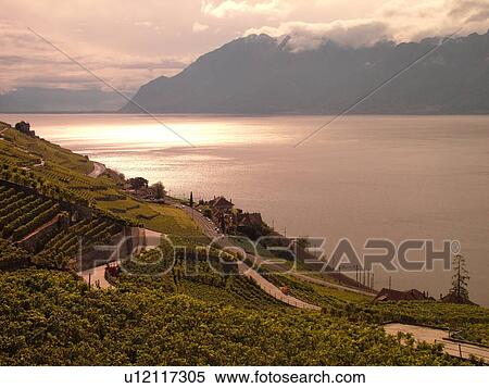 Switzerland, Europe, Vaud, Lavaux, Dezalay, Lake Geneva, Lac Leman View Large Photo Image Stock Photography - Switzerland, Europe, Vaud, Lavaux, Dezalay, Lake Geneva, Lac Leman. Fotosearch