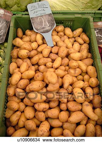 Picture -  Switzerland, Europe, Vaud, Morges, La Cote, downtown, City Market, potatoes, close-up. Fotosearch