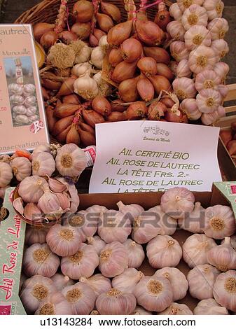 Switzerland, Europe, Vaud, Morges, La Cote, downtown, City Market, garlic, close-up View Large Photo Image Picture - Switzerland, Europe, Vaud, Morges, La Cote, downtown, City Market, garlic, close-up. Fotosearch