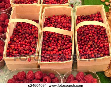 Picture -  Switzerland, Europe, Vaud, Morges, La Cote, downtown, City Market, cranberries, raspberries. Fotosearch
