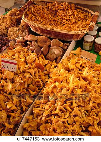 Switzerland, Europe, Vaud, Morges, La Cote, downtown, City Market, mushrooms, close-up View Large Photo Image Stock Image - Switzerland, Europe, Vaud, Morges, La Cote, downtown, City Market, mushrooms, close-up. Fotosearch