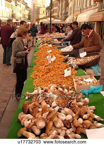 Switzerland, Europe, Vaud, Morges, La Cote, downtown, City Market, mushrooms View Large Photo Image Stock Image - Switzerland, Europe, Vaud, Morges, La Cote, downtown, City Market, mushrooms. Fotosearch
