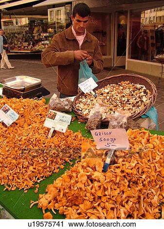 Switzerland, Europe, Vaud, Morges, La Cote, downtown, City Market, mushrooms View Large Photo Image Stock Image - Switzerland, Europe, Vaud, Morges, La Cote, downtown, City Market, mushrooms. Fotosearch
