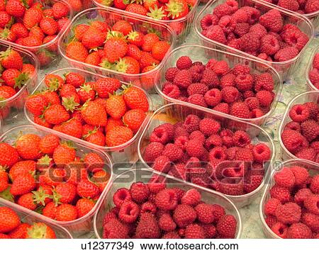 Switzerland, Europe, Vaud, Morges, La Cote, downtown, City Market, strawberries, raspberries View Large Photo Image Stock Photo - Switzerland, Europe, Vaud, Morges, La Cote, downtown, City Market, strawberries, raspberries. Fotosearch