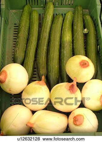 Switzerland, Europe, Vaud, Morges, La Cote, downtown, City Market, onions, cucumbers, close-up View Large Photo Image Stock Photo - Switzerland, Europe, Vaud, Morges, La Cote, downtown, City Market, onions, cucumbers, close-up. Fotosearch