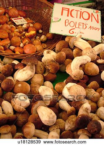 Switzerland, Europe, Vaud, Morges, La Cote, downtown, City Market, mushrooms, close-up View Large Photo Image Stock Photo - Switzerland, Europe, Vaud, Morges, La Cote, downtown, City Market, mushrooms, close-up. Fotosearch