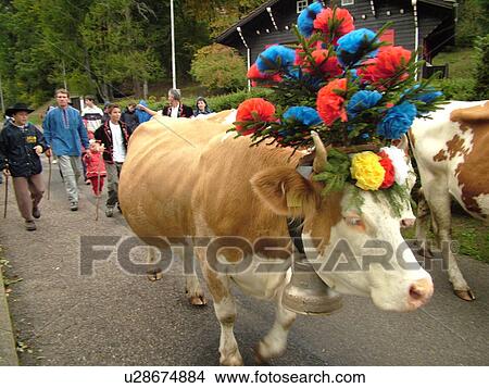 Switzerland, Europe, Vaud, St. Cergues, La Desalpe, festival, cows with floral headdresses, farmers View Large Photo Image Picture - Switzerland, Europe, Vaud, St. Cergues, La Desalpe, festival, cows with floral headdresses, farmers. Fotosearch