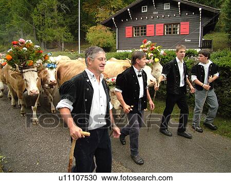 Stock Image -  Switzerland, Europe, Vaud, St. Cergues, La Desalpe, festival, cows with floral headdresses, farmers. Fotosearch