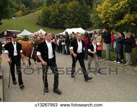 Stock Image -  Switzerland, Europe, Vaud, St. Cergues, La Desalpe, festival, cows with floral headdresses, farmers. Fotosearch