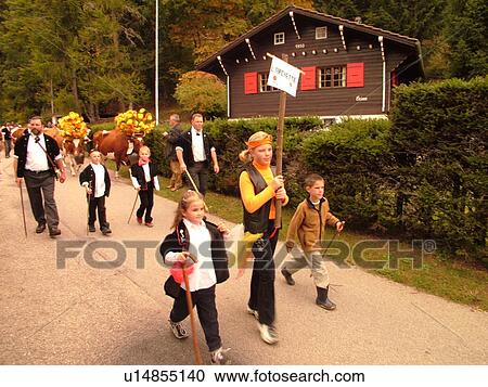 Stock Image -  Switzerland, Europe, Vaud, St. Cergues, La Desalpe, festival, cows with floral headdresses, farmers . Fotosearch