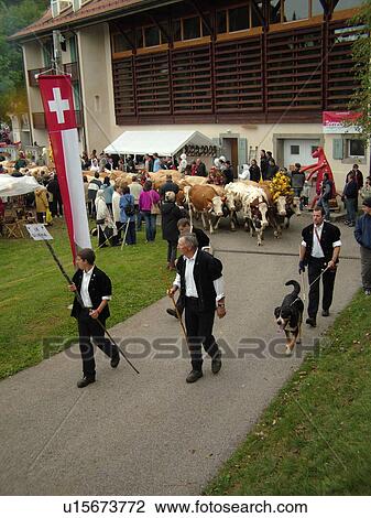 Switzerland, Europe, Vaud, St. Cergues, La Desalpe, festival, cows with floral headdresses, farmers View Large Photo Image Stock Image - Switzerland, Europe, Vaud, St. Cergues, La Desalpe, festival, cows with floral headdresses, farmers. Fotosearch