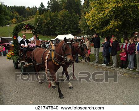 Stock Image -  Switzerland, Europe, Vaud, St. Cergues, La Desalpe, festival, team of horses pulling a wagon. Fotosearch