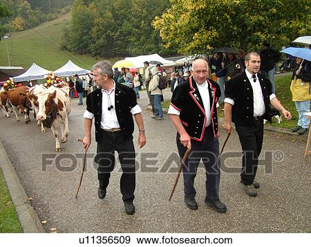 Stock Photo -  Switzerland, Europe, Vaud, St. Cergues, La Desalpe, festival, cows with floral headdresses, farmers. Fotosearch