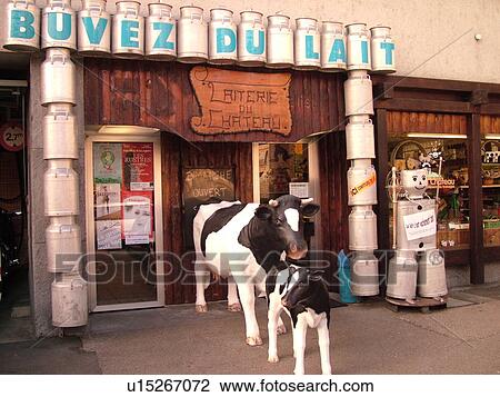 Stock Image -  Switzerland, Europe, Vaud, Yverdon-les-Bains, Laiterie du Chateau, downtown, statues of dairy cows, mother and calf. Fotosearch