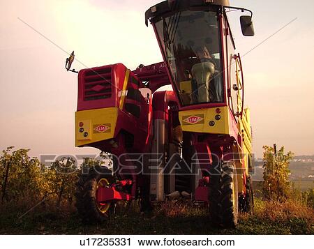 Stock Image -  Switzerland, Europe, Vaud, Mont-Sur-Rolle, La Cote, wine harvest, vineyards, grape collection machine. Fotosearch