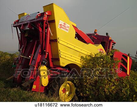 Stock Image -  Switzerland, Europe, Vaud, Mont-Sur-Rolle, La Cote, wine harvest, vineyards, grape collection machine. Fotosearch