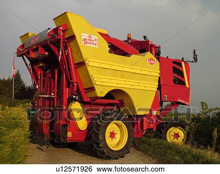 Switzerland, Europe, Vaud, Mont-Sur-Rolle, La Cote, wine harvest, vineyards, grape collection machine View Large Photo Image Stock Photograph - Switzerland, Europe, Vaud, Mont-Sur-Rolle, La Cote, wine harvest, vineyards, grape collection machine. Fotosearch