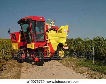 Switzerland, Europe, Vaud, Tartegnin, La Cote, wine harvest, vineyards, grape collection machine View Large Photo Image Stock Photo - Switzerland, Europe, Vaud, Tartegnin, La Cote, wine harvest, vineyards, grape collection machine. Fotosearch