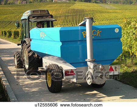 Stock Photograph -  Switzerland, Europe, Vaud, Tartegnin, La Cote, wine harvest, vineyards, tractor. Fotosearch