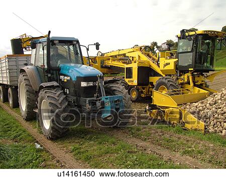 Stock Image -  Switzerland, Europe, Vaud, Vallamand, sugar beet harvest, farming. Fotosearch