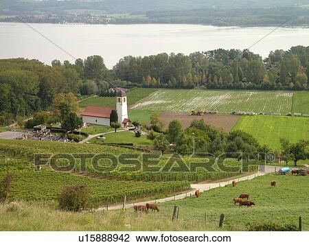 Stock Image -  Switzerland, Europe, Vaud, Vallamand, Lac de Morat, Murten, village. Fotosearch
