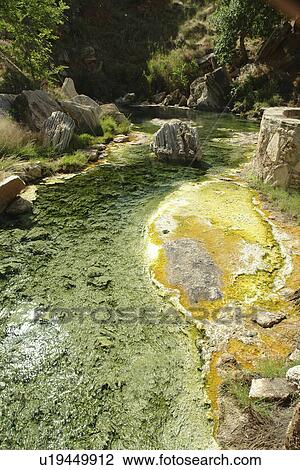 Thermopolis, WY, Wyoming, Hot Springs State Park, hot springs View Large Photo Image Stock Image - Thermopolis, WY, Wyoming, Hot Springs State Park, hot springs. Fotosearch