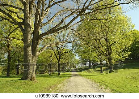 Valley Forge, PA, Pennsylvania, Valley Forge National Historical Park View Large Photo Image Stock Image - Valley Forge, PA, Pennsylvania, Valley Forge National Historical Park. Fotosearch