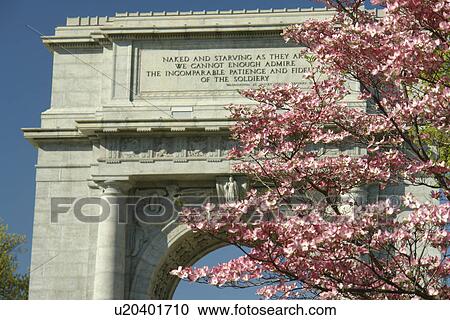 Valley Forge, PA, Pennsylvania, Valley Forge National Historical Park, National Memorial Arch, Pink Dogwood Trees View Large Photo Image Stock Image - Valley Forge, PA, Pennsylvania, Valley Forge National Historical Park, National Memorial Arch, Pink Dogwood Trees. Fotosearch