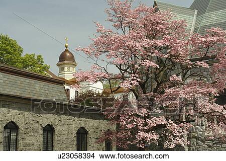 Villanova, PA, Pennsylvania, Villanova University, St. Thomas of Villanova Church View Large Photo Image Picture - Villanova, PA, Pennsylvania, Villanova University, St. Thomas of Villanova Church. Fotosearch