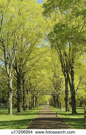 Washington Crossing, PA, Pennsylvania, Delaware Canal Trail View Large Photo Image Picture - Washington Crossing, PA, Pennsylvania, Delaware Canal Trail. Fotosearch
