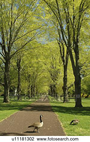 Washington Crossing, PA, Pennsylvania, Delaware Canal Trail View Large Photo Image Stock Image - Washington Crossing, PA, Pennsylvania, Delaware Canal Trail. Fotosearch