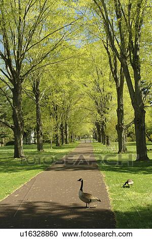 Stock Image -  Washington Crossing, PA, Pennsylvania, Delaware Canal Trail. Fotosearch
