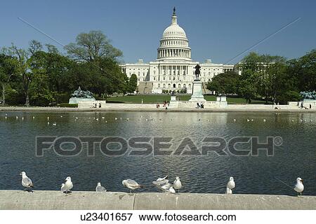 Washington DC, D. C District of Columbia, U. S. Capitol Building, Capitol Reflection Pool, Capitol Hill, Nation's Capital View Large Photo Image Stock Photo - Washington DC, D. C District of Columbia, U. S. Capitol Building, Capitol Reflection Pool, Capitol Hill, Nation's Capital. Fotosearch