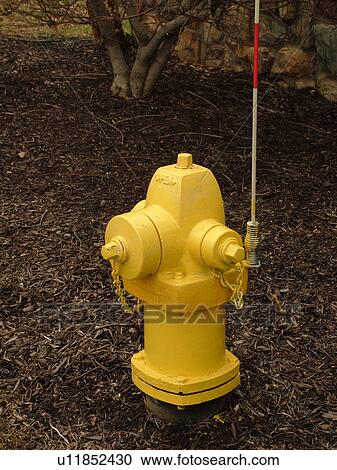 West Chester, PA, Pennsylvania, Hershey's Mill Chester County, yellow fire hydrant View Large Photo Image Stock Image - West Chester, PA, Pennsylvania, Hershey's Mill Chester County, yellow fire hydrant. Fotosearch